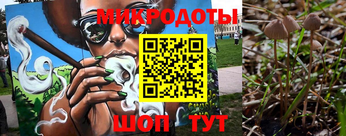 где найти   Вход с VPN  Ковров  Галлюциногенные грибы Psilocybine cubensis 