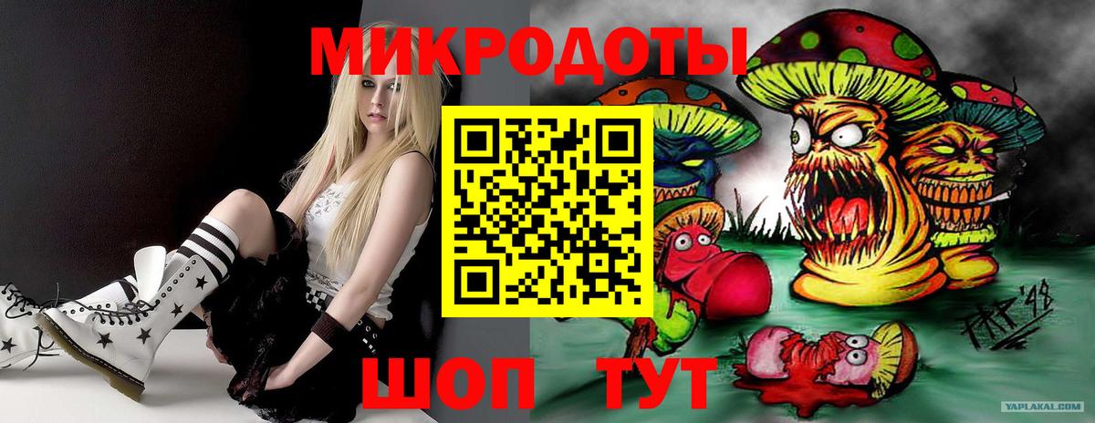 Псилоцибиновые грибы Psilocybe Ковров